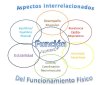 fisiomonica-ms.blogspot.com.es/2012/01/aspectos-interrelacionados-del.html
