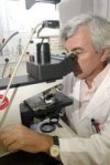 Imatge Font . EL PUNT- Dr. Emilio Mayayo Artal Servei Anatomia Patalógica de I'Hospital Joan XXIII  Tarragona i Professorde la Universidat Rovira i Virgili