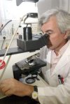 Antenas No Investigación Sí