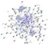  Figure 2 from the study shows the 143 proteins that have changed (up- or down-regulated) and their functional relationship based on a literature survey.