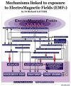 Diagrama de los mecanismos vinculados a la exposición de los Campos Electromagnéticos , por el Dr. Richard Gautier